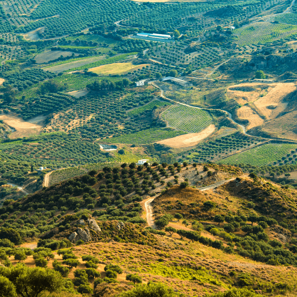 Journey in the discovery of oil